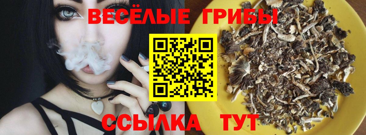 Псилоцибиновые грибы прущие грибы  Псилоцибиновые грибы GOLDEN TEACHER  Вход с VPN  Бор 